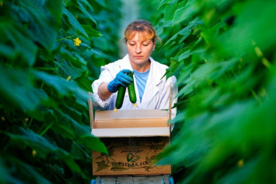 Новые кадровые сервисы ввели для резидентов ТОР и СПВ / ЯСИА   