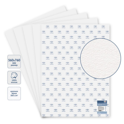 Бумага для акварели Гамма "Студия" 560*760 мм 300 г, крупное зерно, 100% хлопок