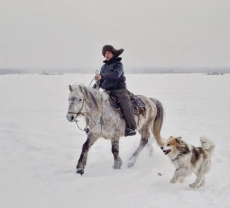 Фото дня. Труд якутских табунщиков глазами фотографа Галины Давыдовой / ЯСИА   Республика Саха (Якутия)