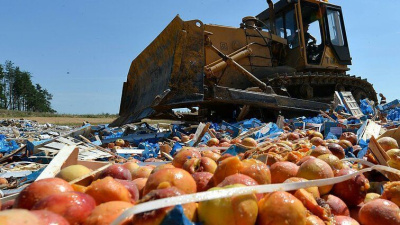 В России могут запретить уничтожение санкционных продуктов / ЯСИА   