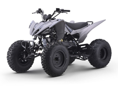 Квадроцикл SHARMAX Raizer Race Cup 250