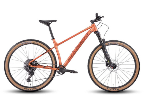 Горный велосипед Hagen 5.10 29, год 2025, цвет Оранжевый, ростовка 16