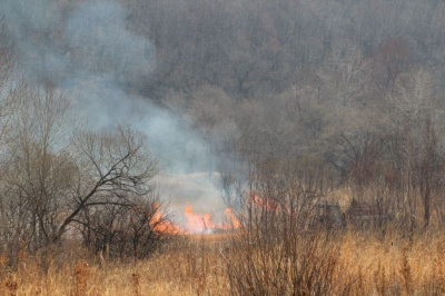 В Усть-Майском районе ликвидировано два лесных пожара / ЯСИА  Усть-Майский Республика Саха (Якутия)