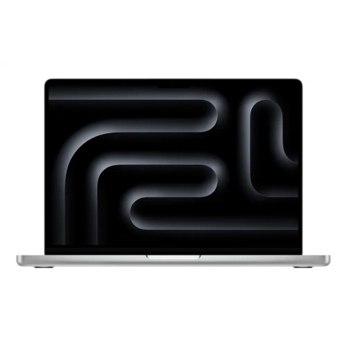 Apple MacBook Pro 14 2024 M4 16Gb/1Tb (Silver) (MW2X3)