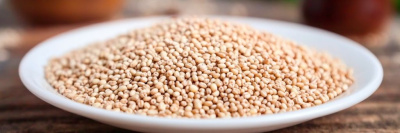 Сорго: польза и вред для организма