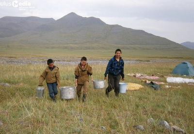 В Булунском районе 17 детей вывезут в оленеводческие стада на лето / ЯСИА  Булунский Город Владивосток