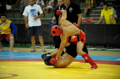 «Битва Боотуров-9. Консолидация»: в Якутске состоится турнир по панкратиону / ЯСИА Якутск Якутск Республика Саха (Якутия)