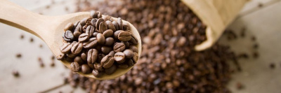 Краткий гид по кофе: виды, сорта и правила выбора