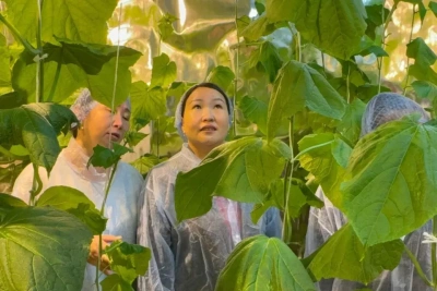 В Маттинской школе Мегино-Кангаласского района Якутии открылся умный огород / ЯСИА   