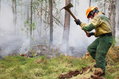 Более 300 человек тушат лесные пожары в Якутии / ЯСИА  Алданский Республика Саха (Якутия)