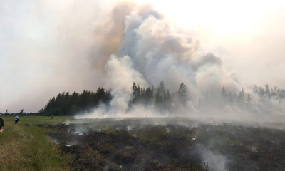 Природный пожар не угрожает селу Сайылык / ЯСИА   