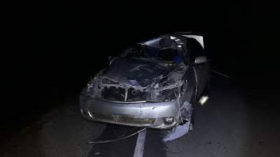 Коровы на дороге. В Горном районе Якутии за сутки произошло два похожих ДТП / ЯСИА  Горный Республика Саха (Якутия)