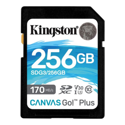 Карта памяти 256GB Kingston SDG3/256GB SDXC, UHS-I Class U3 V30, чтение: 170Мб/с, запись: 90Мб/с
