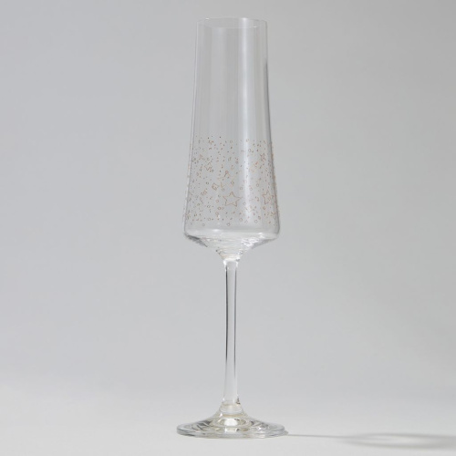 Бокал для шампанского Universe