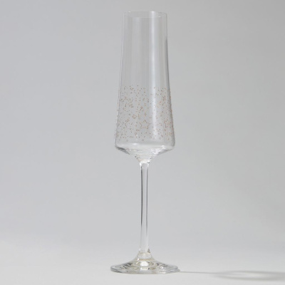 Бокал для шампанского Universe