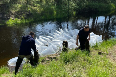 «Полюс Алдан» вновь участвует в зарыблении водоемов Якутии / ЯСИА   Республика Саха (Якутия)