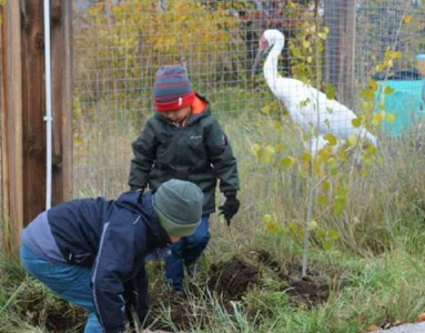 День журавля отметили в зоопарке «Орто Дойду» / ЯСИА   