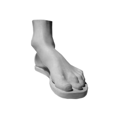 Гипс Стопа Геракла "Черная речка"