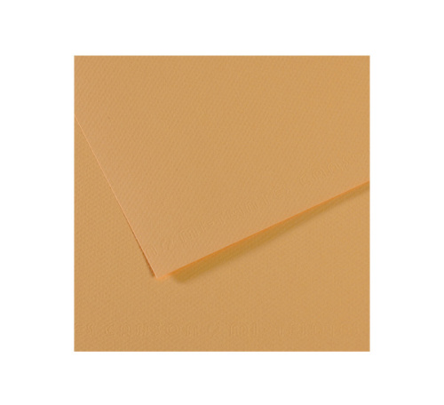 Бумага для пастели Canson "MI-TEINTES" 21x29,7 см 160 г №340 конопляный