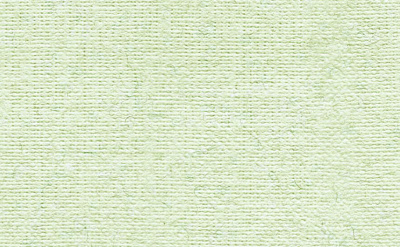 Бумага для пастели "Палаццо" 50x70 см 160 г незрелая фисташка