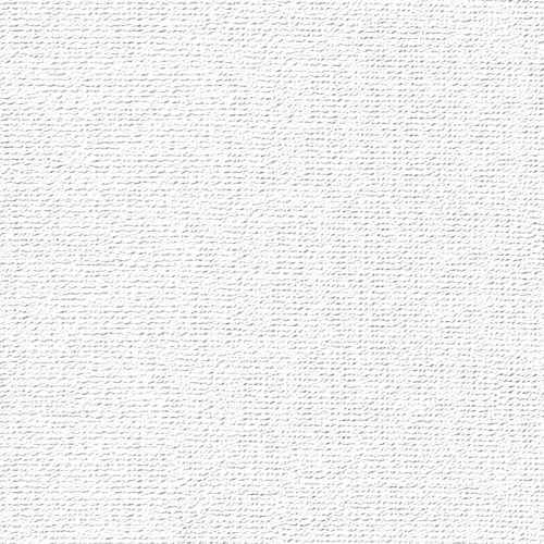 Бумага для пастели "Палаццо" 21x29,7 см 160 г белоснежный