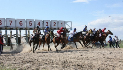 Призы от Минсельхоза получат самые быстрые. На старт выйдут лучшие скакуны Якутии / ЯСИА   Республика Саха (Якутия)