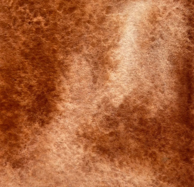 Акварель "Handy" кювета 2 мл, Сиена жженая темная