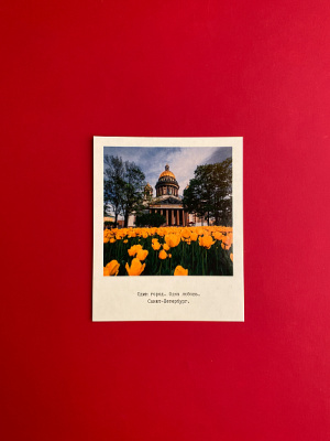 Открытка "Исаакиевский собор, тюльпаны. Фото"