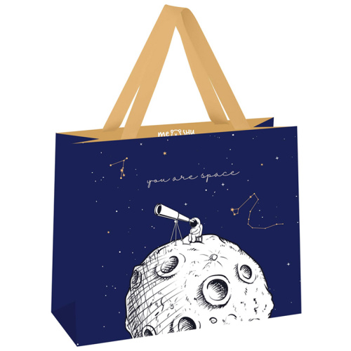Пакет подарочный MESHU "Space" 32*26*12 см