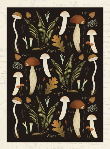 Открытка Дворникова А. "Грибы" тёмная