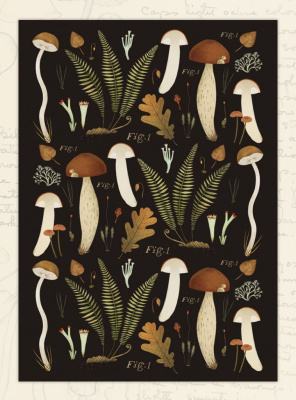 Открытка Дворникова А. "Грибы" тёмная