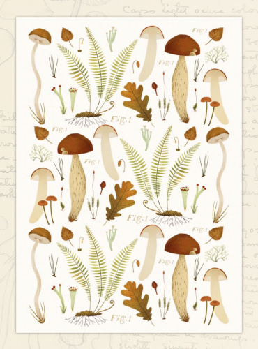 Открытка Дворникова А. "Грибы" светлая