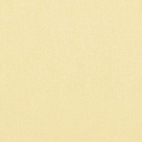 Бумага для пастели "Палаццо" 70x100 см 160 г песочный