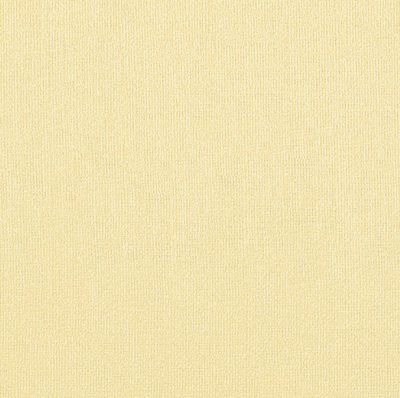 Бумага для пастели "Палаццо" 70x100 см 160 г песочный