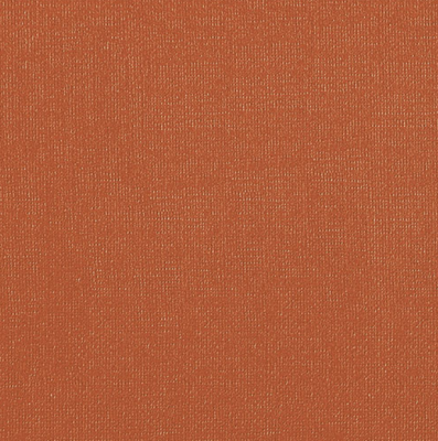 Бумага для пастели "Палаццо" 70x100 см 160 г терракота