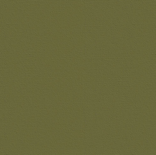 Бумага для пастели "Палаццо" 70x100 см 160 г темные джунгли