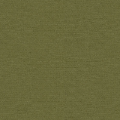 Бумага для пастели "Палаццо" 70x100 см 160 г темные джунгли