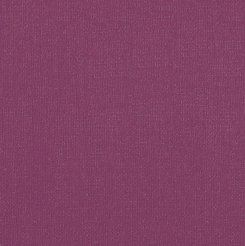 Бумага для пастели "Палаццо" 70x100 см 160 г ежевичный