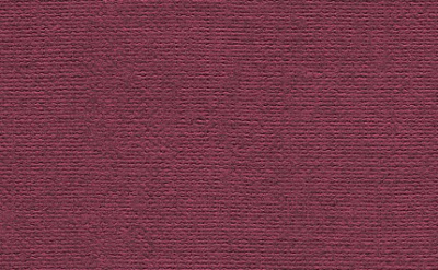 Бумага для пастели "Палаццо" 35x50 см 160 г ежевика