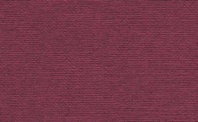 Бумага для пастели "Палаццо" 50x70 см 160 г ежевика