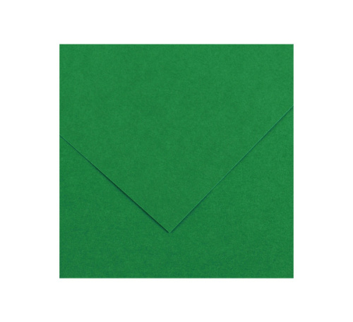 Бумага тонированная Canson "Iris Vivaldi" А4 240 г №30 зеленый мох