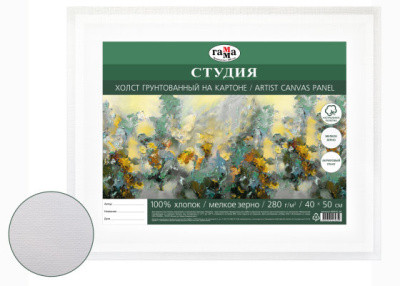 Холст грунтованный на картоне Гамма "Студия" 40х50 см