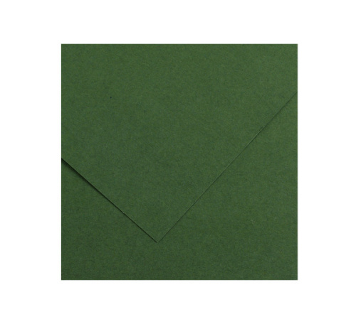 Бумага тонированная Canson "Iris Vivaldi" А4 240 г №31 темно-зеленый