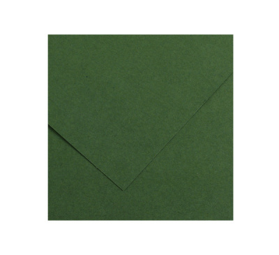 Бумага тонированная Canson "Iris Vivaldi" А4 240 г №31 темно-зеленый