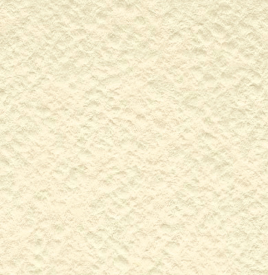 Бумага для акварели Лилия Холдинг лист 200 г Слоновая кость А4