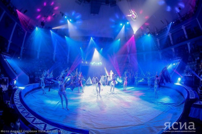 Эквилибристика, клоунада, дрессировка. Что представили конкурсанты циркового фестиваля «Мамонтенок» / Вероника Аммосова   Казань