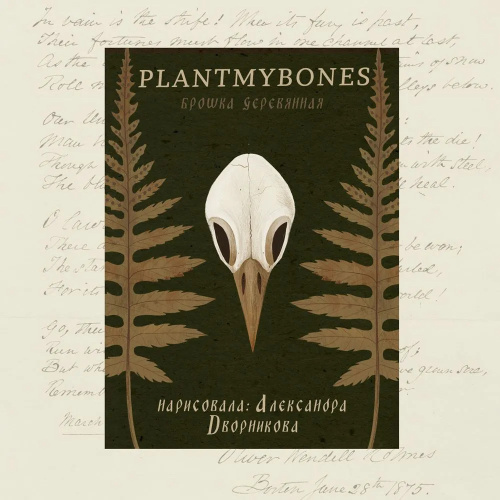 Деревянная брошка Дворникова А. "Птичий череп"