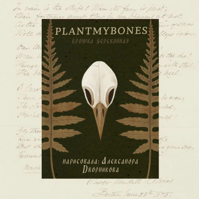 Деревянная брошка Дворникова А. "Птичий череп"