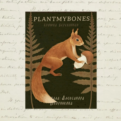 Деревянная брошка Дворникова А. "Белочка"