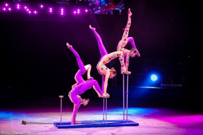 Звезды цирка. Определились победители международного фестиваля «Мамонтенок» / Ольга Старостина   Казань